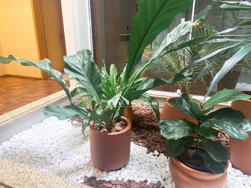 Foto 7 de Casa com 4 quartos à venda, 450m2 em Sao Lourenco Do Oeste - SC