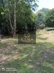 Imagem 10