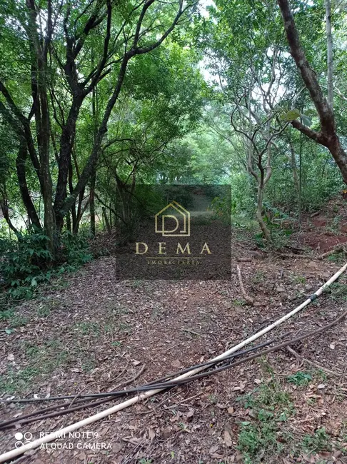 Foto 4 de Chácara à venda, 44500m2 em Maripa - PR