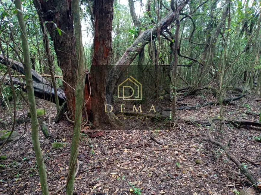 Foto 23 de Chácara à venda, 44500m2 em Maripa - PR
