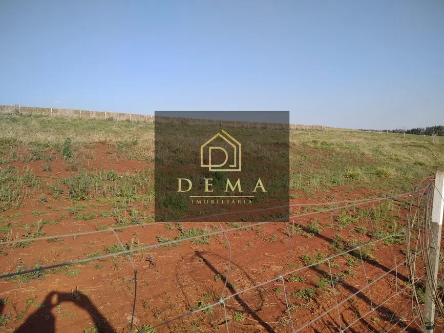 Chácara à venda, 36300m2 em Toledo - PR - imagem 11 Foto 11 de Chácara à venda, 36300m2 em Toledo - PR