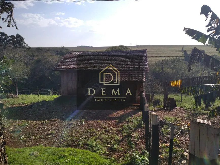 Chácara à venda, 36300m2 em Toledo - PR - imagem 14 Foto 14 de Chácara à venda, 36300m2 em Toledo - PR