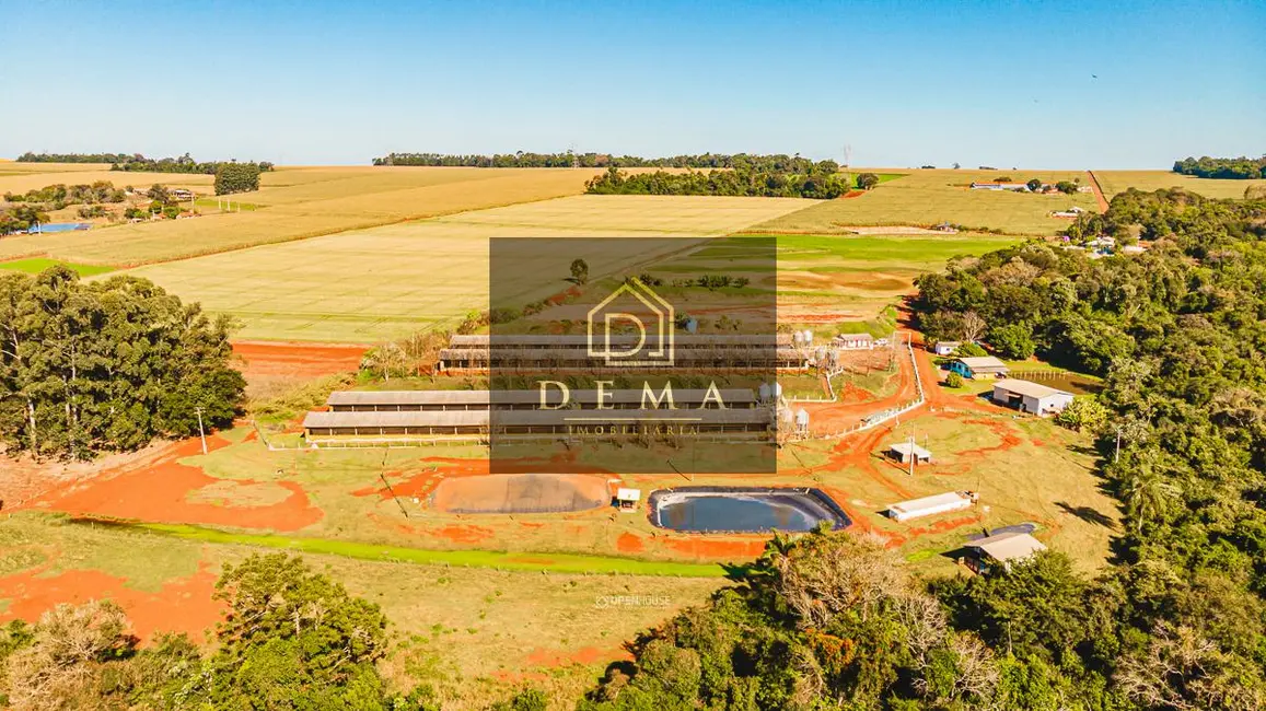 Chácara à venda em Toledo - PR - imagem 7 Foto 7 de Chácara à venda em Toledo - PR