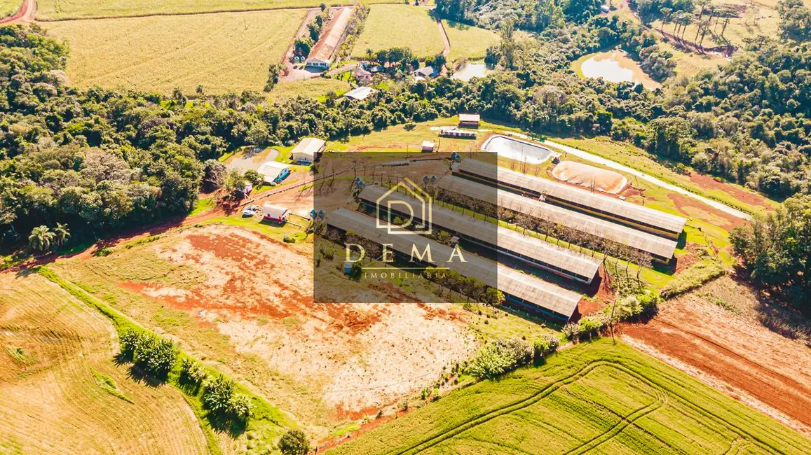 Foto 16 de Chácara à venda em Toledo - PR