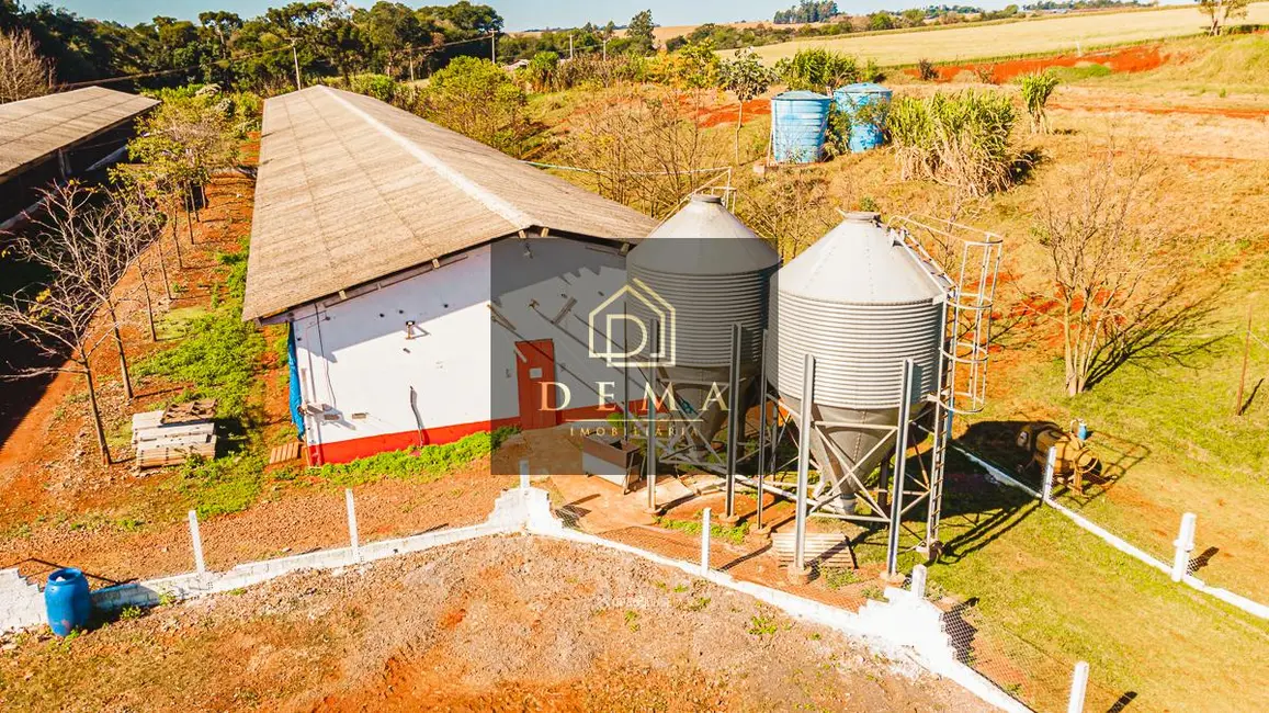 Foto 14 de Chácara à venda em Toledo - PR