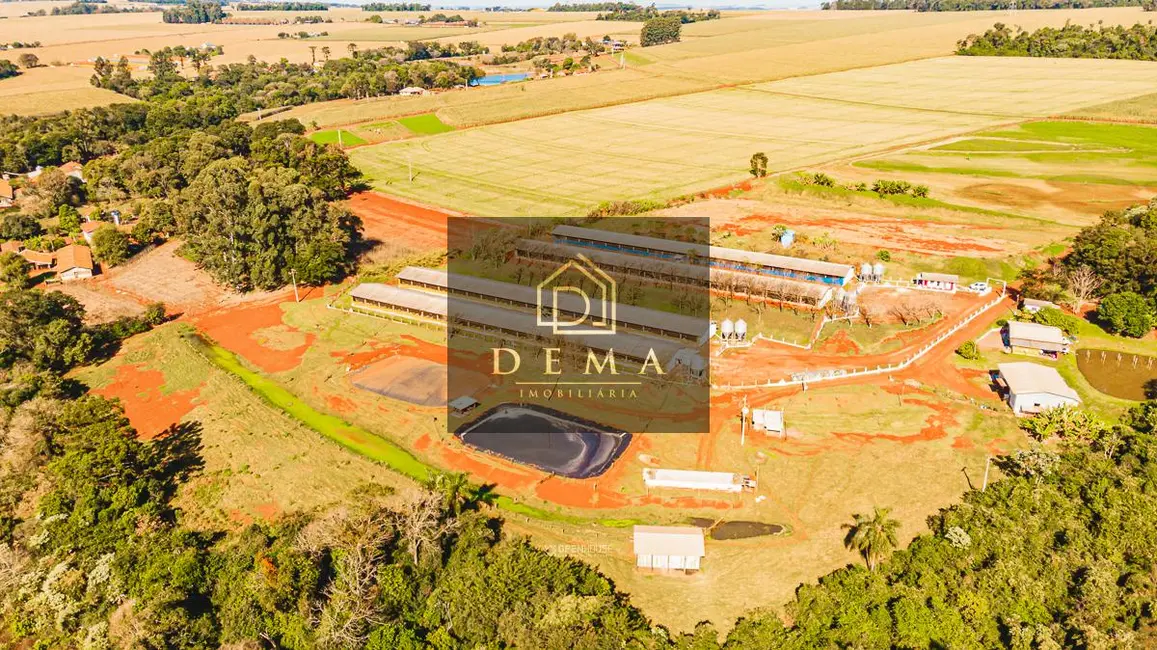 Chácara à venda em Toledo - PR - imagem 5 Foto 5 de Chácara à venda em Toledo - PR