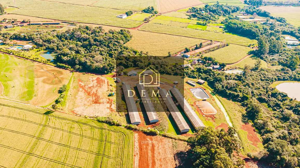 Foto 17 de Chácara à venda em Toledo - PR