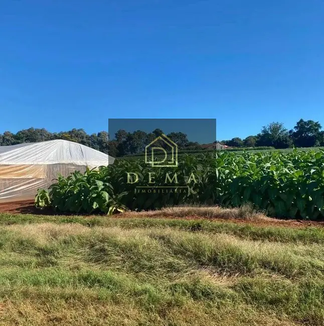 Foto 8 de Chácara à venda em Sao Pedro Do Iguacu - PR