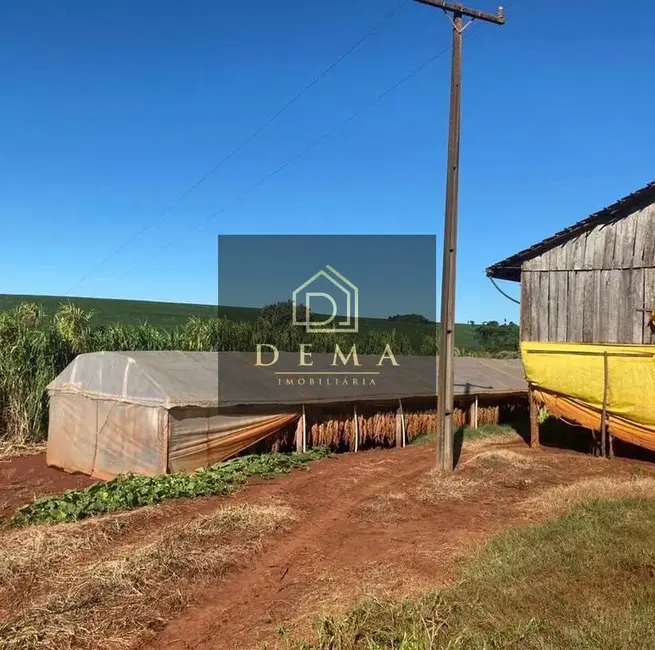 Foto 5 de Chácara à venda em Sao Pedro Do Iguacu - PR