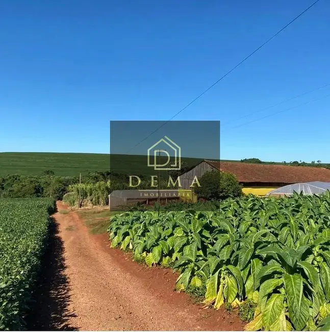 Foto 3 de Chácara à venda em Sao Pedro Do Iguacu - PR