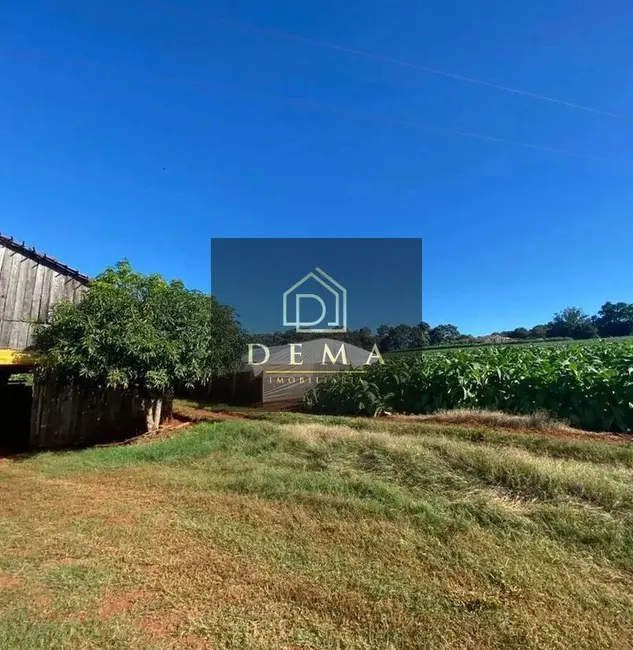 Foto 7 de Chácara à venda em Sao Pedro Do Iguacu - PR