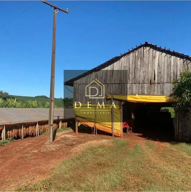Foto 4 de Chácara à venda em Sao Pedro Do Iguacu - PR