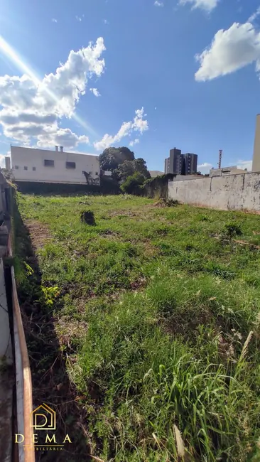 Terreno / Lote à venda, 1000m2 em Centro, Toledo - PR - imagem 3 Foto 3 de Terreno / Lote à venda, 1000m2 em Centro, Toledo - PR