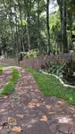 Imagem 11