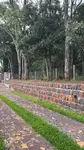 Imagem 21