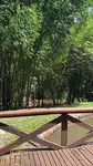 Imagem 14