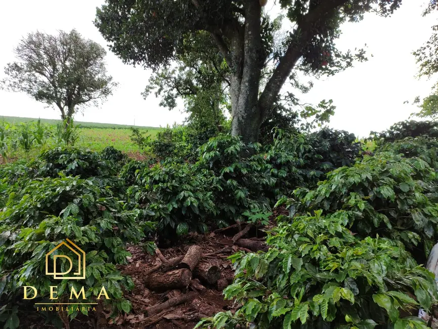 Foto 7 de Fazenda / Haras à venda em Vera Cruz Do Oeste - PR
