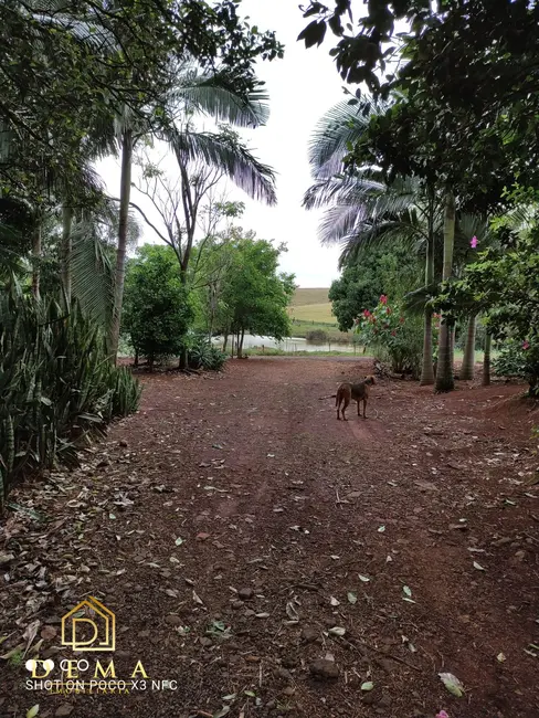 Foto 5 de Fazenda / Haras à venda em Vera Cruz Do Oeste - PR