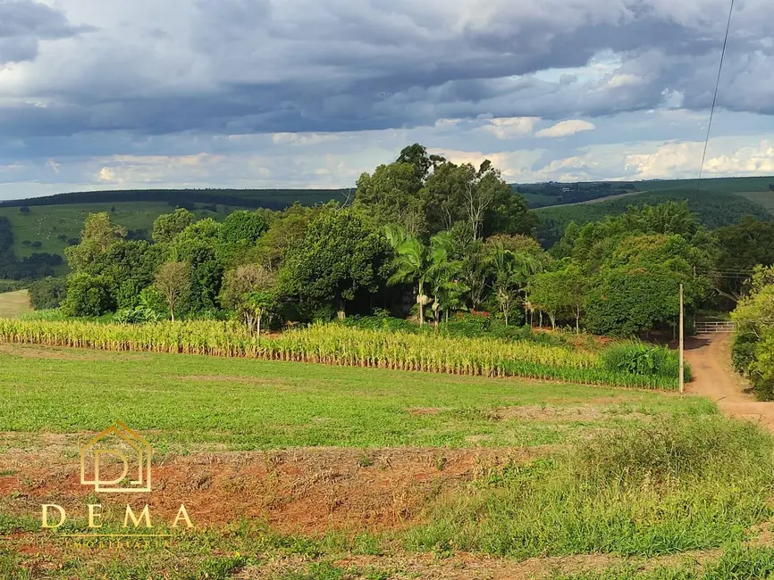 Foto 1 de Fazenda / Haras à venda em Vera Cruz Do Oeste - PR
