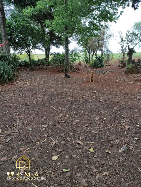Foto 3 de Fazenda / Haras à venda em Vera Cruz Do Oeste - PR