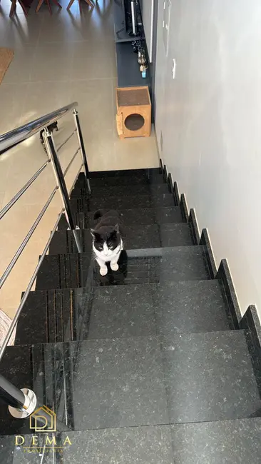 Sobrado com 4 quartos à venda, 164m2 em Jardim Anápolis, Toledo - PR - imagem 4 Foto 4 de Sobrado com 4 quartos à venda, 164m2 em Jardim Anápolis, Toledo - PR