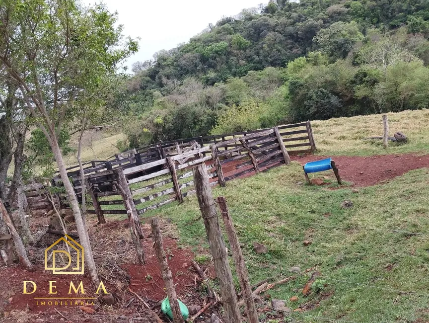 Fazenda / Haras à venda em Boa Vista Da Aparecida - PR - imagem 6 Foto 6 de Fazenda / Haras à venda em Boa Vista Da Aparecida - PR