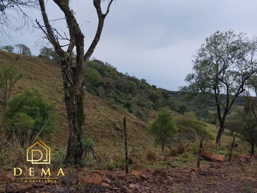 Fazenda / Haras à venda em Boa Vista Da Aparecida - PR - imagem 8 Foto 8 de Fazenda / Haras à venda em Boa Vista Da Aparecida - PR