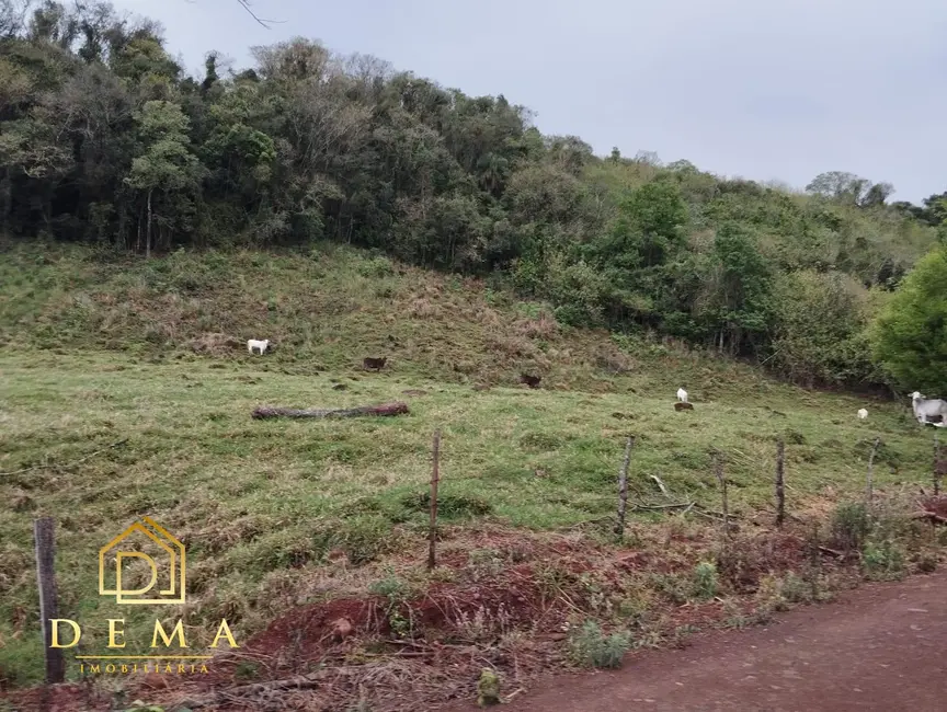 Fazenda / Haras à venda em Boa Vista Da Aparecida - PR - imagem 5 Foto 5 de Fazenda / Haras à venda em Boa Vista Da Aparecida - PR