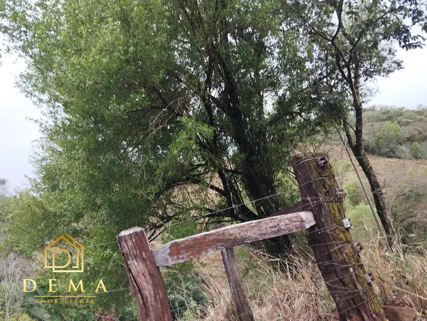 Fazenda / Haras à venda em Boa Vista Da Aparecida - PR - imagem 9 Foto 9 de Fazenda / Haras à venda em Boa Vista Da Aparecida - PR