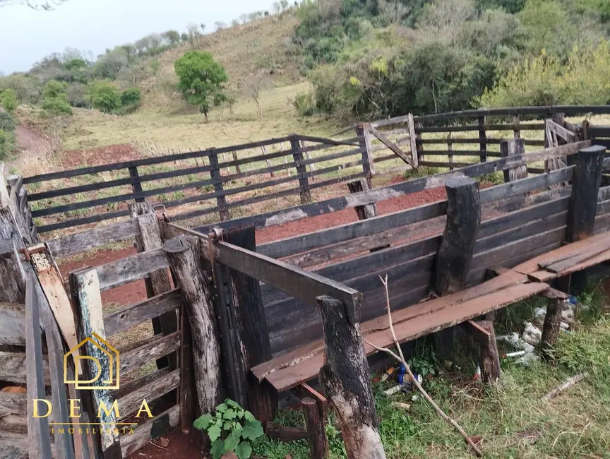 Fazenda / Haras à venda em Boa Vista Da Aparecida - PR - imagem 3 Foto 3 de Fazenda / Haras à venda em Boa Vista Da Aparecida - PR