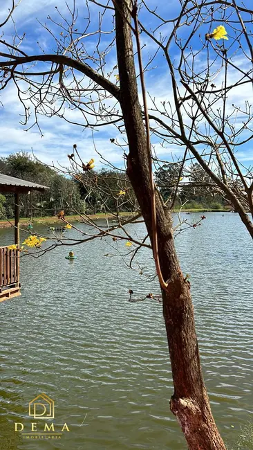 Foto 2 de Chácara à venda em Cafelandia - PR