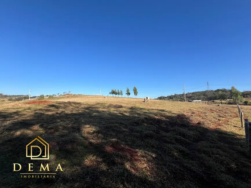 Foto 13 de Chácara à venda, 21000m2 em Toledo - PR