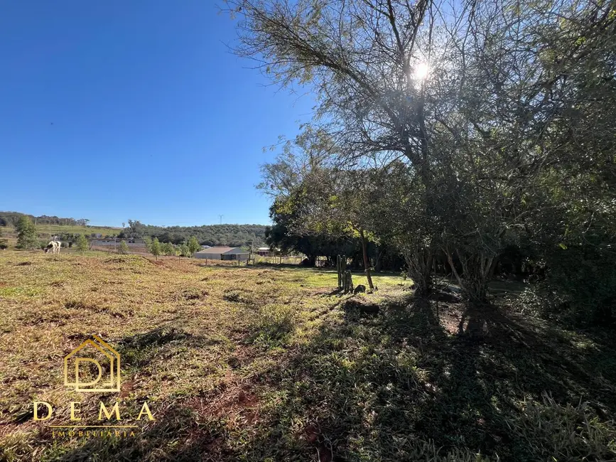 Foto 16 de Chácara à venda, 21000m2 em Toledo - PR