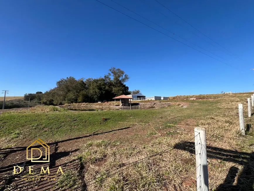 Chácara à venda, 21000m2 em Toledo - PR - imagem 5 Foto 5 de Chácara à venda, 21000m2 em Toledo - PR