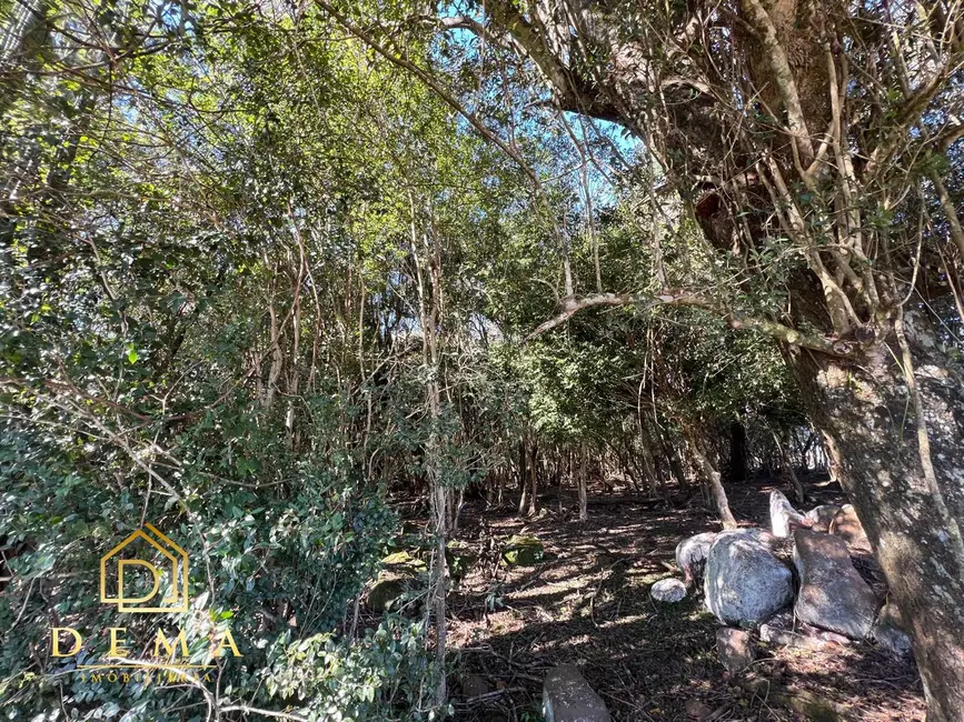 Foto 12 de Chácara à venda, 21000m2 em Toledo - PR