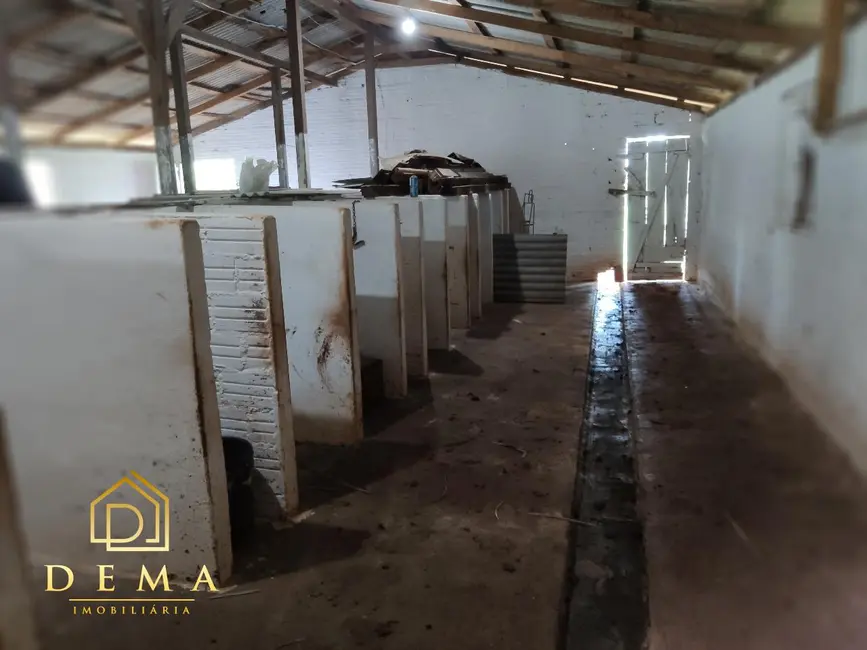 Foto 27 de Chácara à venda em Missal - PR