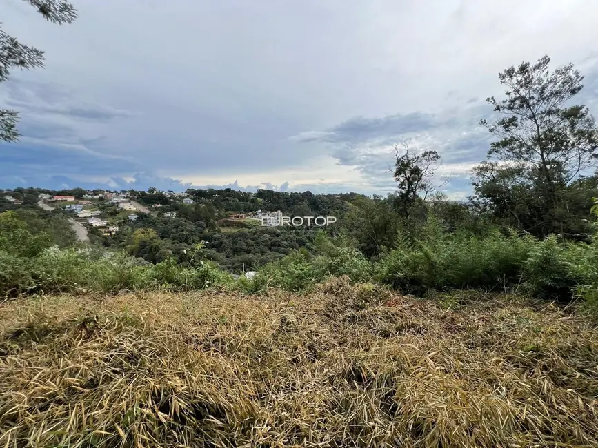 Foto 1 de Terreno / Lote à venda, 443m2 em Santo Antão, Bento Goncalves - RS