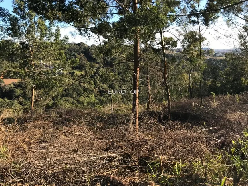 Foto 2 de Terreno / Lote à venda, 443m2 em Santo Antão, Bento Goncalves - RS