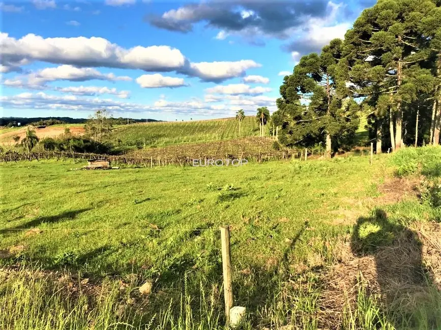 Foto 1 de Terreno / Lote à venda, 433m2 em São Valentin, Bento Goncalves - RS