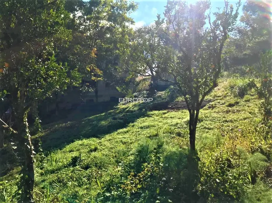 Foto 2 de Terreno / Lote à venda, 2624m2 em Borgo, Bento Goncalves - RS