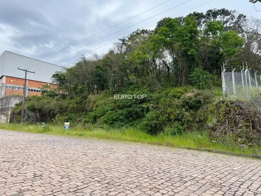 Foto 1 de Terreno / Lote à venda, 5664m2 em São Valentin, Bento Goncalves - RS