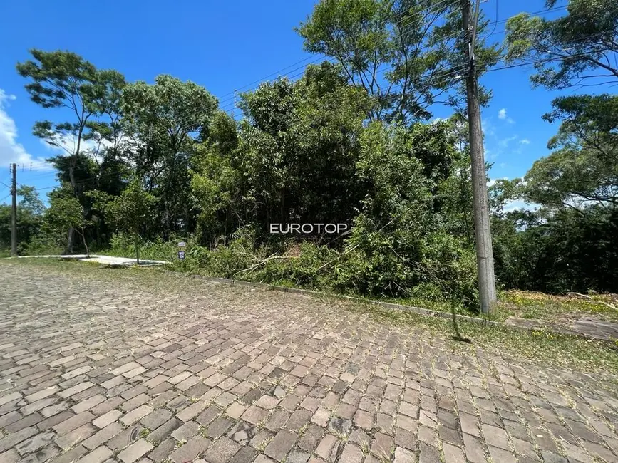 Foto 2 de Terreno / Lote à venda, 1214m2 em Santo Antão, Bento Goncalves - RS