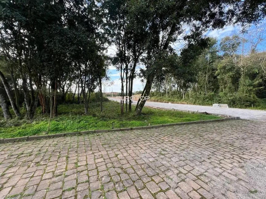 Foto 8 de Terreno / Lote à venda, 585m2 em Santa Marta, Bento Goncalves - RS