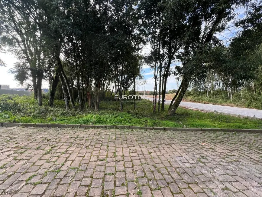 Foto 7 de Terreno / Lote à venda, 585m2 em Santa Marta, Bento Goncalves - RS