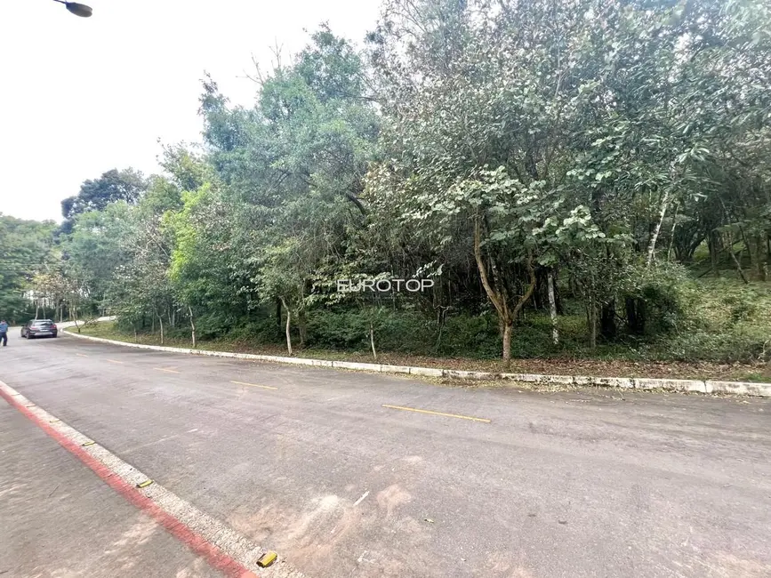 Terreno / Lote à venda, 2000m2 em Santo Antão, Bento Goncalves - RS - imagem 4 Foto 4 de Terreno / Lote à venda, 2000m2 em Santo Antão, Bento Goncalves - RS