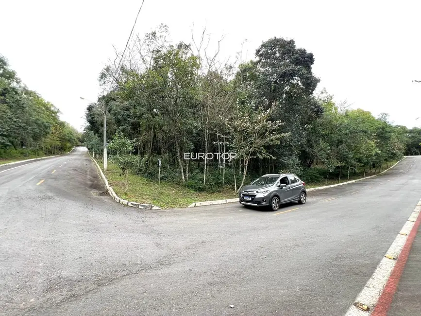 Terreno / Lote à venda, 2000m2 em Santo Antão, Bento Goncalves - RS - imagem 1 Foto 1 de Terreno / Lote à venda, 2000m2 em Santo Antão, Bento Goncalves - RS