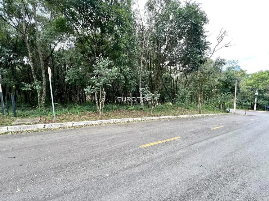 Terreno / Lote à venda, 2000m2 em Santo Antão, Bento Goncalves - RS - imagem 6 Foto 6 de Terreno / Lote à venda, 2000m2 em Santo Antão, Bento Goncalves - RS