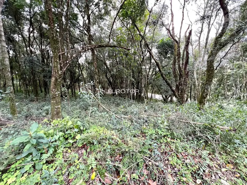 Terreno / Lote à venda, 2000m2 em Santo Antão, Bento Goncalves - RS - imagem 9 Foto 9 de Terreno / Lote à venda, 2000m2 em Santo Antão, Bento Goncalves - RS