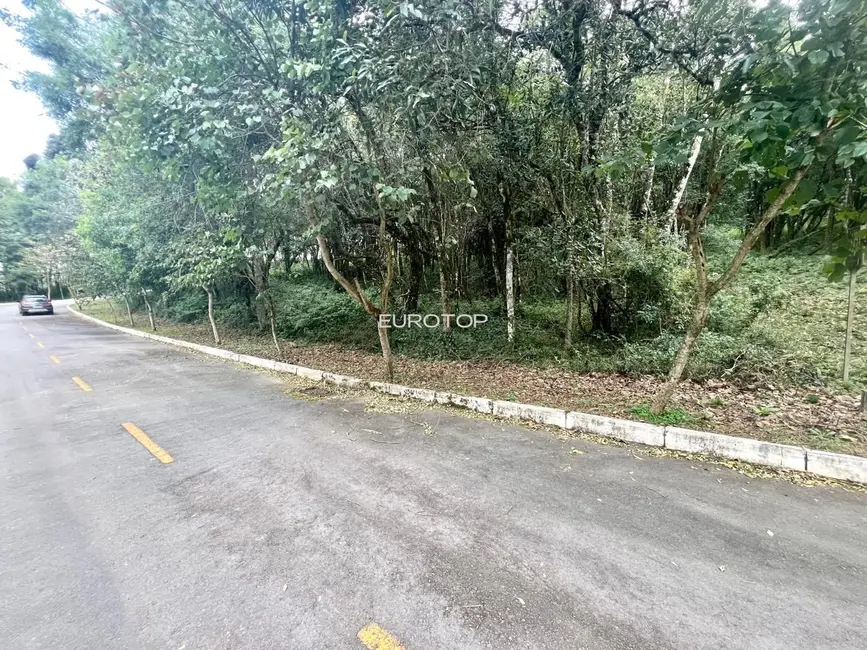 Terreno / Lote à venda, 2000m2 em Santo Antão, Bento Goncalves - RS - imagem 5 Foto 5 de Terreno / Lote à venda, 2000m2 em Santo Antão, Bento Goncalves - RS