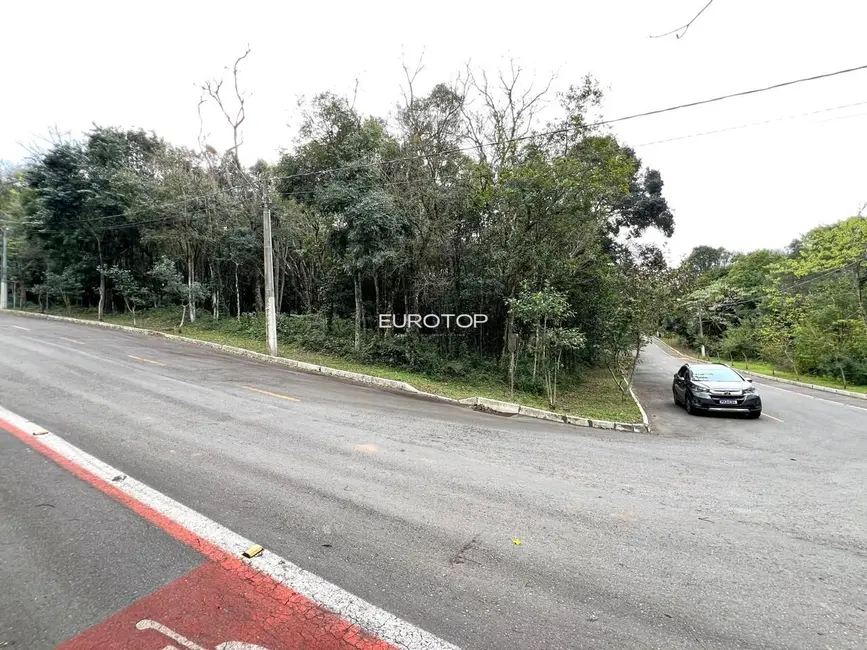 Terreno / Lote à venda, 2000m2 em Santo Antão, Bento Goncalves - RS - imagem 2 Foto 2 de Terreno / Lote à venda, 2000m2 em Santo Antão, Bento Goncalves - RS